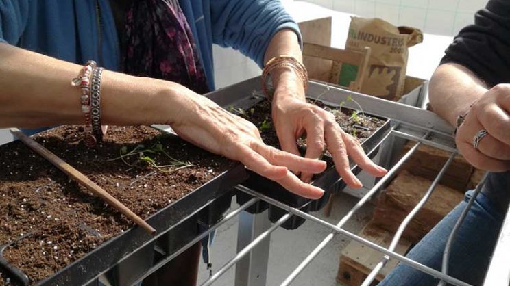 Actividad en el proyecto Ereiaro de horticultura terapéutica