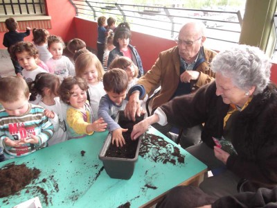 Belaunaldi arteko Programa