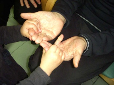 Belaunaldi arteko programa