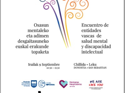 Osasun Mentaleko eta Adimen Desgaitasuneko Euskal erakundeen topaketa