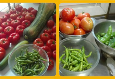 En el CRPS Maldatxo hemos trabajado duro en la huerta pero la tierra ha dado sus frutos Maldatxoko EPSZn lan gogorra egin dugu ortuan baina lurrak bere fruituak eman ditu