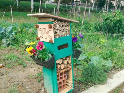 Antzaran EPSZ Kutxa Ekogunearen intsektuentzako hotelen lehiaketara aurkeztu da