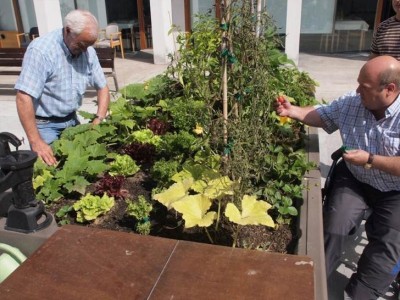 Huerto ecológico en la Residencia Joxe Miel Barandiaran de Durango