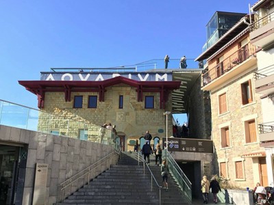 Aita Mennik topaketa zientifiko bat antolatu du autismoa eta desgaitasun intelektuala duten pertsonen jokabideko nahasmenduak aztertzeko