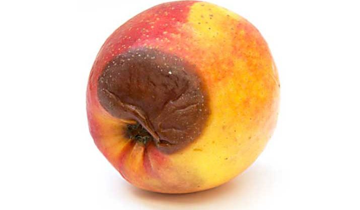 Una manzana con una zona demasiado madura y arrugada, como metáfora visual de las úlceras por presión en ancianos