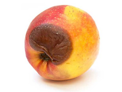 Una manzana con una zona demasiado madura y arrugada, como metáfora visual de las úlceras por presión en ancianos