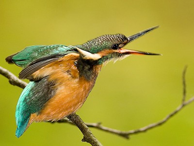 Jesus Maria Etxeberria Irungo EPSZko erabiltzaileak irabazi du Euskara Batzordeak antolatutako I. Argazki Lehiaketa