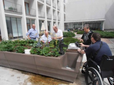 Barandiaran egoitzako ortua bere fruituak ematean hasi da