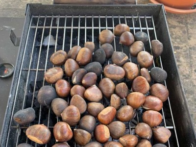 Castañada en la Residencia de mayores Txurdinagabarri