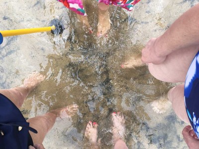 La playa de Plentzia y el parque de Akarlanda, destinos veraniegos Excursiones de la Residencia de mayores Txurdinagabarri a Plentzia y Akarlanda