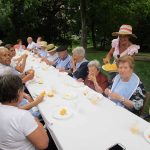 La Residencia de la Tercera Edad Santiago de Villabona, de picnic