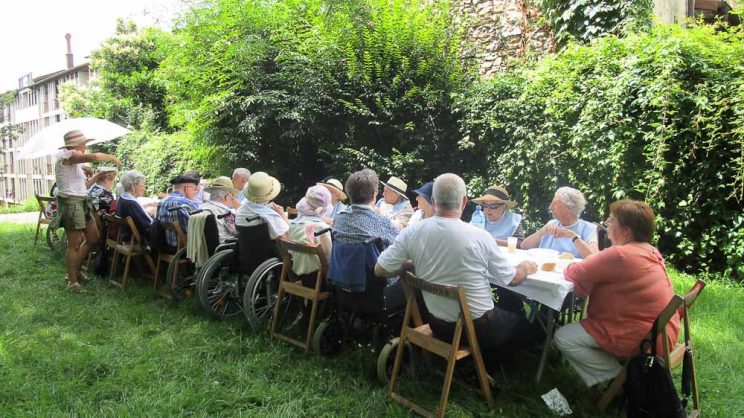 La Residencia de la Tercera Edad Santiago de Villabona, de picnic