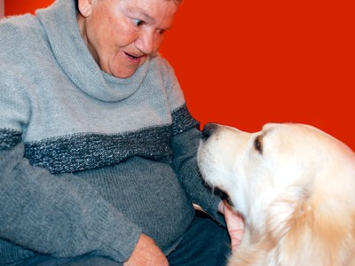 Txakurrez lagundutako terapia Bilboko Aita Menni Eguneko Zentroan Txakurrez lagundutako terapia Bilboko Aita Menni Eguneko Zentroan