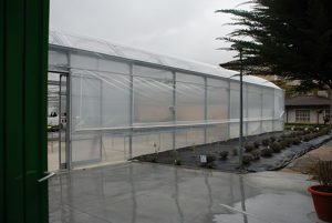 El proyecto terapéutico 'Ereiaro', en las ondas 'Ereiaro' proiektu terapeutikoa