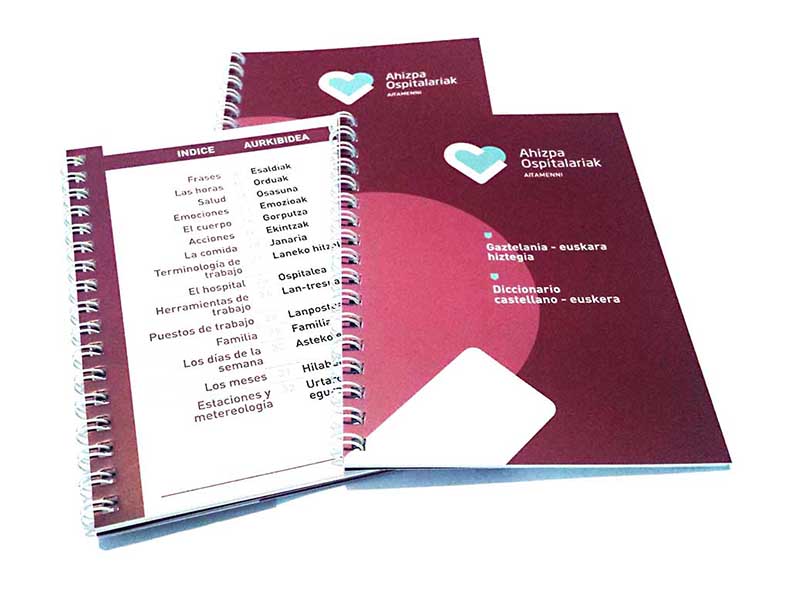 Diccionario de Euskera de Aita Menni