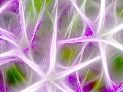 Epilepsia post ictus Epilepsia post ictus