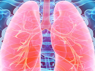 La importancia de la fisioterapia respiratoria en neurorrehabilitación La importancia de la fisioterapia respiratoria en neurorrehabilitación