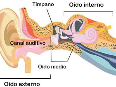 Tratamiento de fisioterapia en la rehabilitación vestibular Tratamiento de fisioterapia en la rehabilitación vestibular
