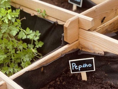 Huerto en la terraza de la Residencia Txurdinagabarri de Bilbao
