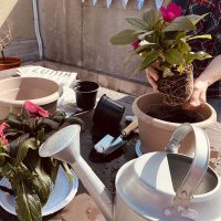 FIesta de la primavera 2023 en la Residencia Txurdinagabarri