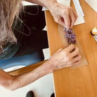 Día del libro en la Residencia Txurdinagabarri