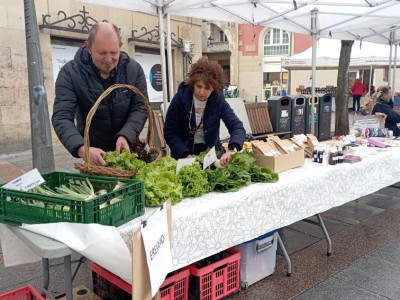 Udalak banatutako mahaietan produktuak jartzen