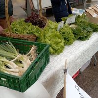 ¡Volvemos a tener un puesto en el mercado km. 0 de Arrasate!