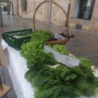 ¡Volvemos a tener un puesto en el mercado km. 0 de Arrasate!