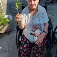 Renovando el huerto de la Residencia Txurdinagabarri