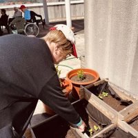 Renovando el huerto de la Residencia Txurdinagabarri