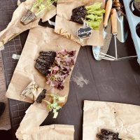 Renovando el huerto de la Residencia Txurdinagabarri