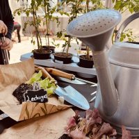 Una regadera, útiles de jardinería y semillas