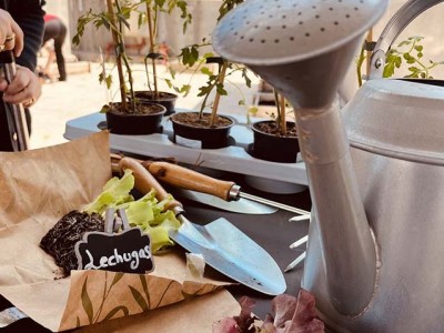 Txurdinagabarri Egoitzako ortua berritzen Una regadera, útiles de jardinería y semillas