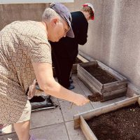 Renovando el huerto de la Residencia Txurdinagabarri