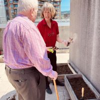 Renovando el huerto de la Residencia Txurdinagabarri