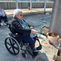 Renovando el huerto de la Residencia Txurdinagabarri