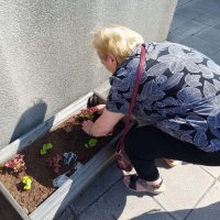 Renovando el huerto de la Residencia Txurdinagabarri