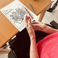 Txurdinagabarri Egoitza, Tourrarekin Txurdinagabarri Egoitza, Tourrarekin