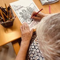 Txurdinagabarri Egoitza, Tourrarekin Txurdinagabarri Egoitza, Tourrarekin