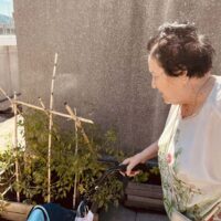 Txurdinagabarriko ortuak fruitu berriak eman ditu Txurdinagabarriko ortuak fruitu berriak eman ditu