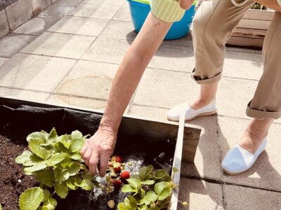 Txurdinagabarriko ortuak fruitu berriak eman ditu Txurdinagabarriko ortuak fruitu berriak eman ditu