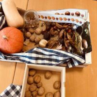 Kaixo, udazkena! Kaixo, udazkena!