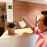 Goizean erosketak egiten Ikean Goizean erosketak egiten Ikean