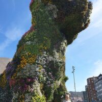 En una sesión intergeneracional del Silver Film Festival
