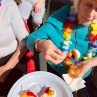 Udaberri jaia Txurdinagabarrin Udaberri jaia Txurdinagabarrin