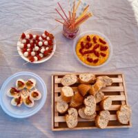 Udaberri jaia Txurdinagabarrin Udaberri jaia Txurdinagabarrin