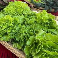 Nos unimos al Día Mundial del Medio Ambiente