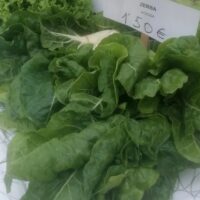 Nos unimos al Día Mundial del Medio Ambiente