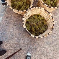 Disfrutamos del Día del Txikitero y de la ofrenda a Nuestra Señora de Begoña