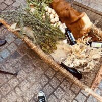 Disfrutamos del Día del Txikitero y de la ofrenda a Nuestra Señora de Begoña